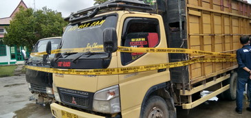 GAKKUM KLHK DAN POLDA RIAU BONGKAR BELASAN SAWMILL KAYU ILEGAL Di KAMPAR RIAU