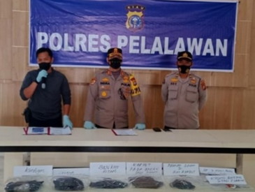 Pembunuh Intan Siswi SMP Bernas berhasil Ditangkap