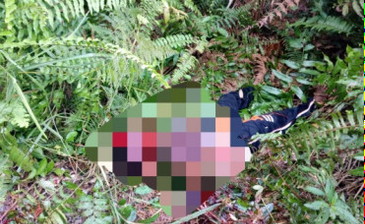 Bocah 13 tahun di Bengkalis di temukan Tewas Mengenaskan di Semak Belukar